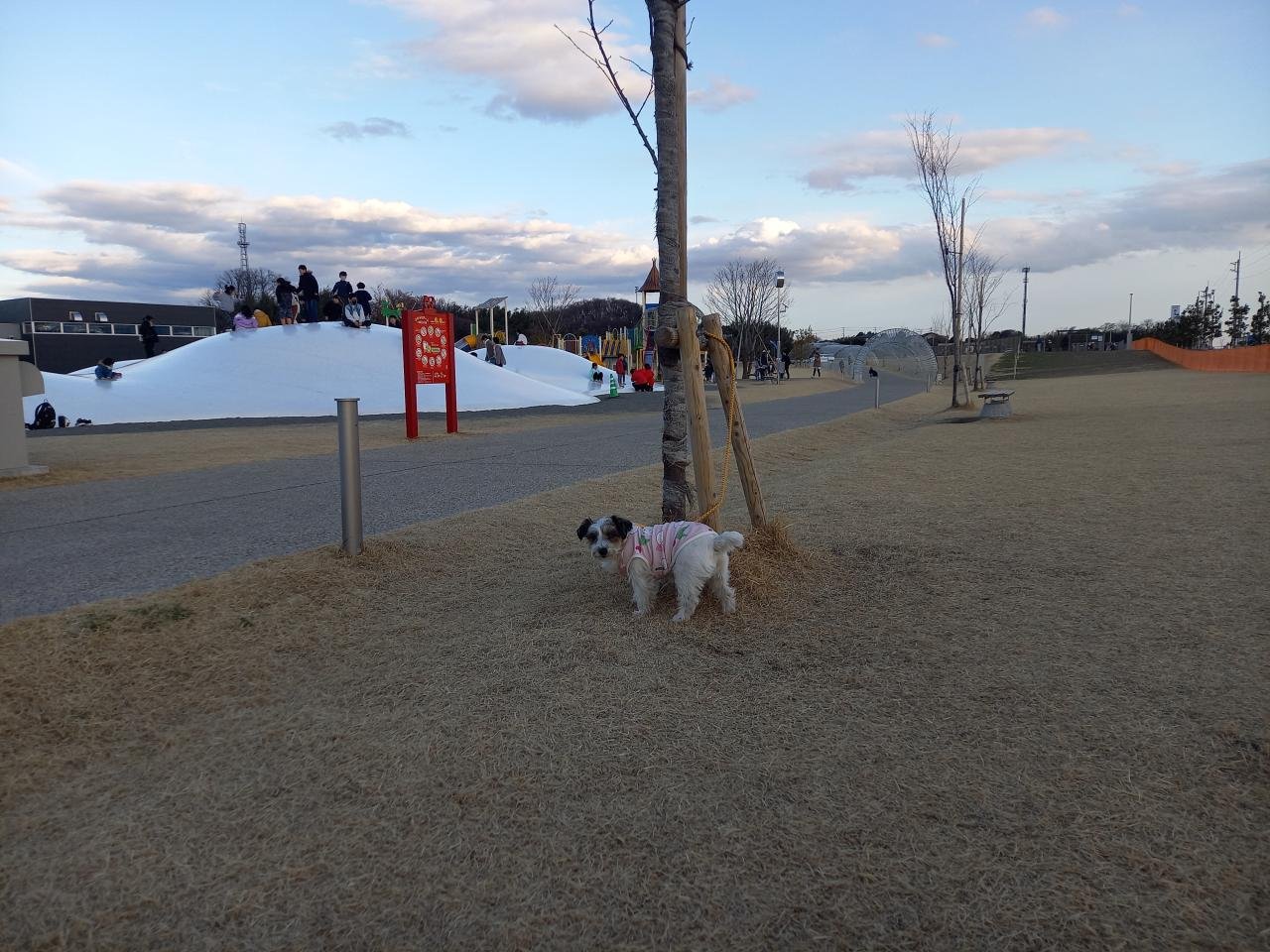 道の駅まえばし赤城3